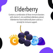 Vita Globe Elderberry immunity support gummy vitamins for immune support