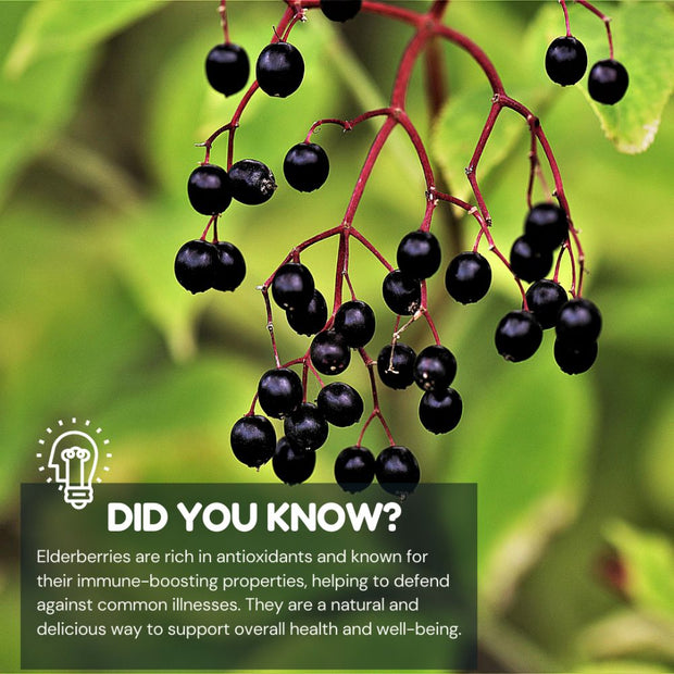 Vita Globe Elderberry immunity support gummy vitamins rich in antioxidants